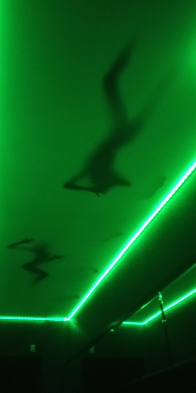 Green Valley